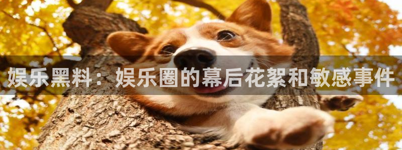 奇亿娱乐注册：娱乐黑料：娱乐圈的幕后花絮和敏感事件