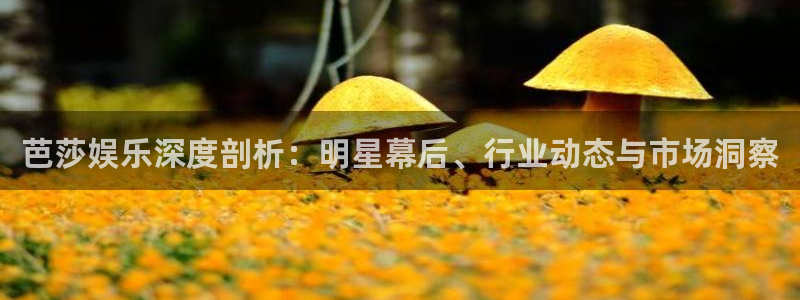 奇亿娱乐注册：芭莎娱乐深度剖析：明星幕后、行业动态与市场洞察