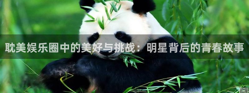 奇亿娱乐：耽美娱乐圈中的美好与挑战：明星背后的青春故事