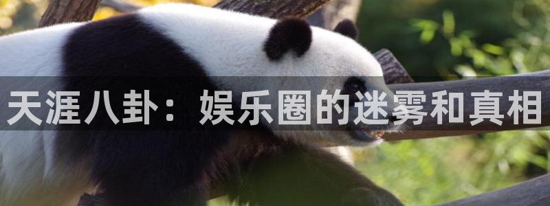 奇亿娱乐登录：天涯八卦：娱乐圈的迷雾和真相