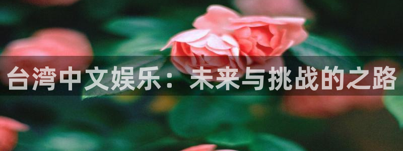 奇亿娱乐注册：台湾中文娱乐：未来与挑战的之路