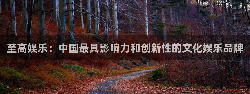 奇亿娱乐登录：至高娱乐：中国最具影响力和创新性的文化娱乐品牌