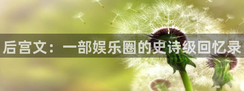 奇亿娱乐平台：后宫文：一部娱乐圈的史诗级回忆录